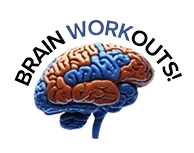 brain works certified puzzles